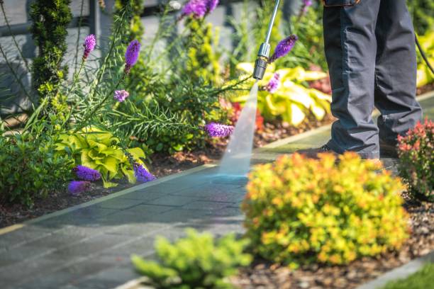 Best Dumpster Area Cleaning  in Cool Valley, MO