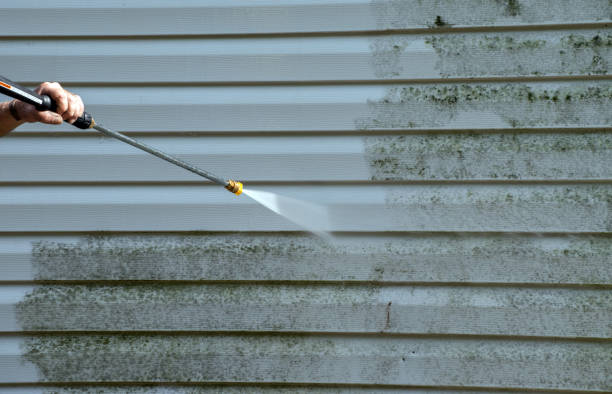 Best Sidewalk and Walkway Cleaning  in Cool Valley, MO